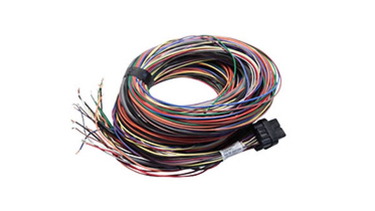 B Loom Long (5LB) - Link ECU cablaj 5m
