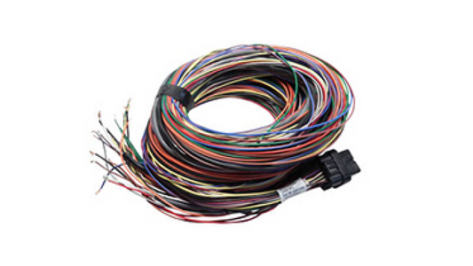 B Loom Long (5LB) - Link ECU cablaj 5m